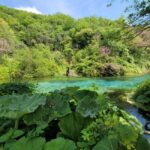 From Gjirokastër: Blue Eye, Butrint, and Saranda Tour - Deep Dive into Key Sites