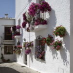 From Granada: Alpujarra Mountain Villages Tour - What To Expect at Each Stop