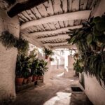 From Granada: Alpujarra Region Full Day Tour - Transport, Guide, and Overall Value