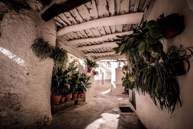 From Granada: Alpujarra Region Full Day Tour - Transport, Guide, and Overall Value