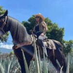 From Guadalajara: Tequila Town and Cantaritos El Guero - The Real Value of the Tour