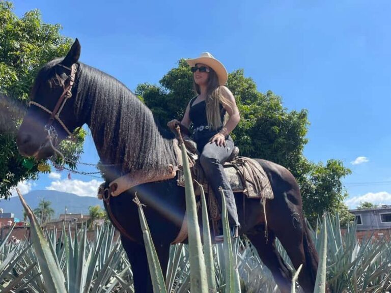 From Guadalajara: Tequila Town and Cantaritos El Guero - The Real Value of the Tour