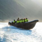 From Hellesylt: Experience Fjordsafari Geirangerfjord on RIB - The Itinerary Breakdown