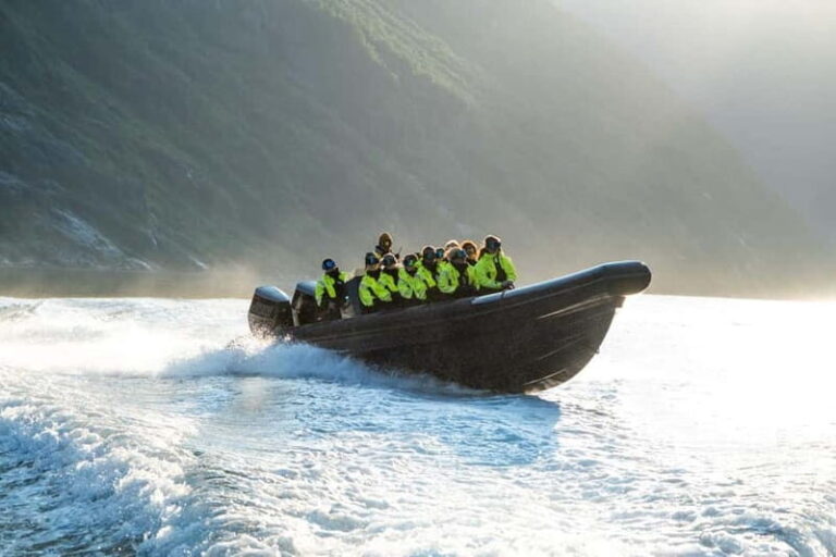 From Hellesylt: Experience Fjordsafari Geirangerfjord on RIB - The Itinerary Breakdown