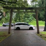 From Hilo: Hawaii Volcanoes National Park Tour - Hawaii Volcanoes National Park: The Heart of the Tour