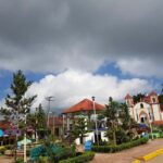 From Huatulco: 3 Levels, Coffee, Culture, and Nature Tour - What’s Included and What You Should Know