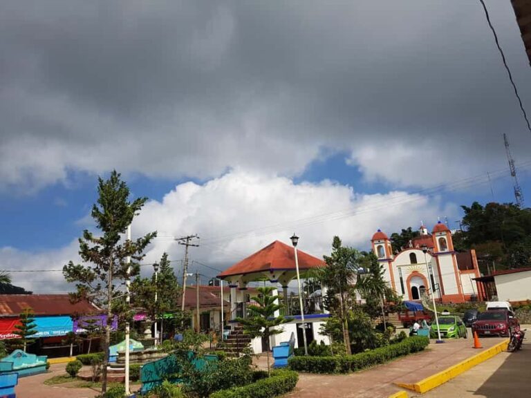 From Huatulco: 3 Levels, Coffee, Culture, and Nature Tour - What’s Included and What You Should Know