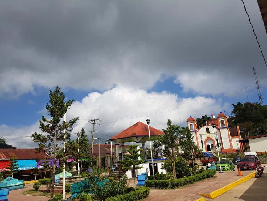 From Huatulco: 3 Levels, Coffee, Culture, and Nature Tour - What’s Included and What You Should Know