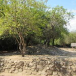 From Huatulco: Copalita Archaeological Zone Tour - Who Will Love This Tour?