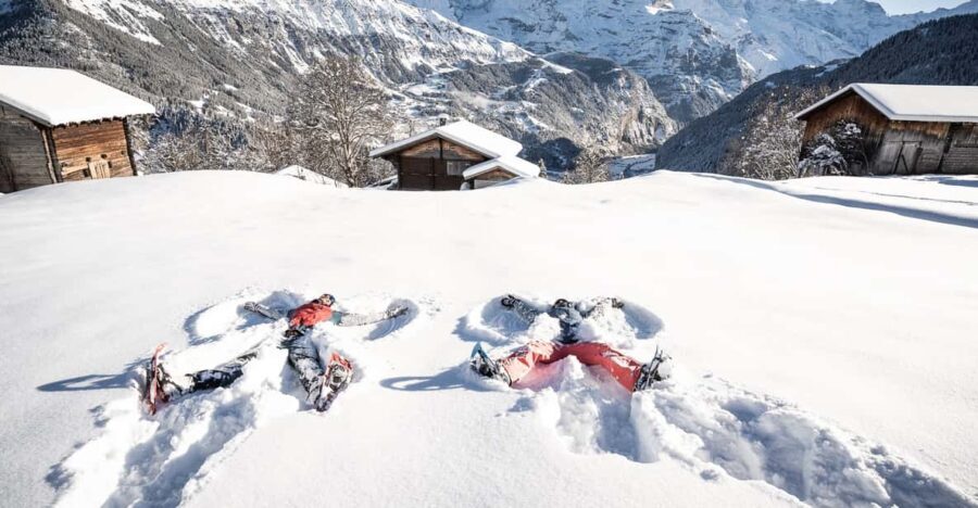 From Interlaken: Guided Snowshoe Tour - Why this Tour Stands Out