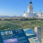 From Inverness: Black Isle Tour with Dolphin Spotting - Is This Tour Worth the Price?