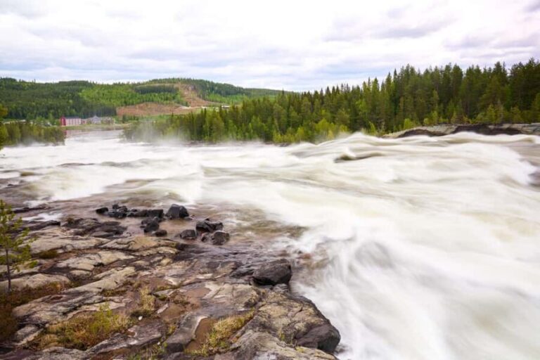 From Jokkmokk: The Great Rapids National Park - In-Depth Look at the Tour Experience