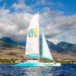 From Kaanapali: Afternoon West Maui Snorkeling w/ Drinks - Why This Tour Offers Real Value