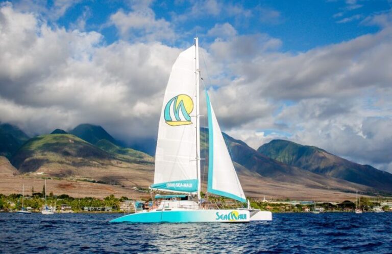 From Kaanapali: Afternoon West Maui Snorkeling w/ Drinks - Why This Tour Offers Real Value