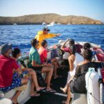 From Kihei: Molokini Crater and Turtle Town Snorkeling - Exploring the Itinerary in Detail