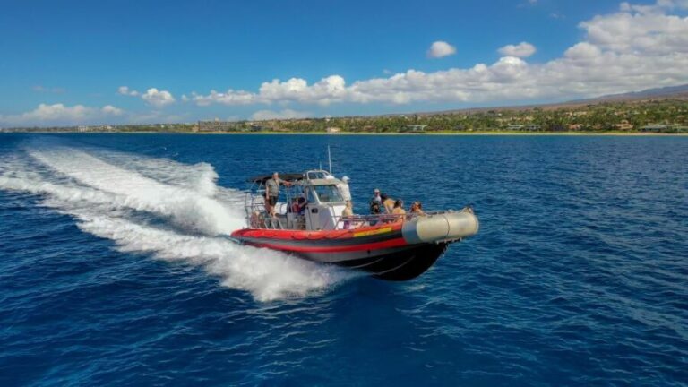 From Kihei: Molokini Snorkel 2-Hour Adventure - What Makes This Tour Stand Out?
