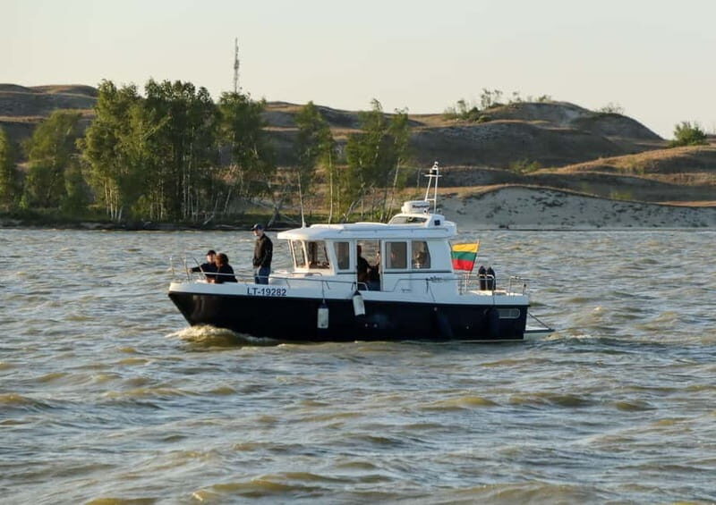 From Klaipda: Bird-Watching Adventure in Nemunas Delta - Discovering the Wildlife: What You’ll Actually See