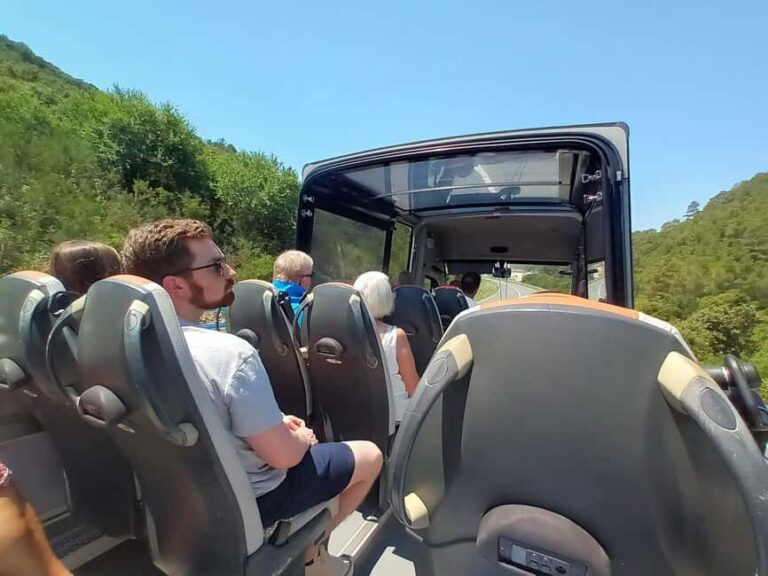 From Korcula Town: Local Wine & Sightseeing Half-Day Tour - Visiting Family-Owned Wineries