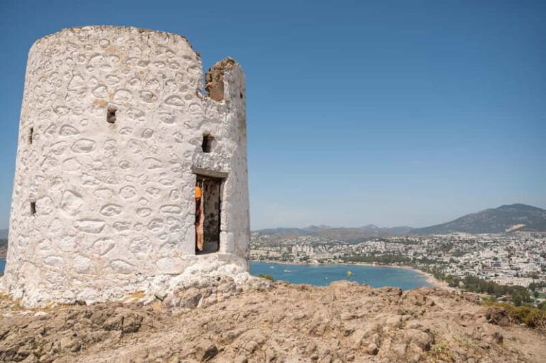 From Kos: A day ride to Bodrum with comfortable transfer - The Practical Side: Transport, Timing, and Cost