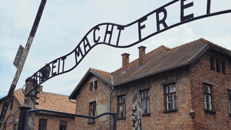 From Krakow: Auschwitz-Birkenau Guided Tour, Several Options - Practical Tips Based on Reviews  