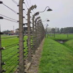 From Krakow: Auschwitz-Birkenau Guided Tour with Pickup - The Practicalities and What to Expect