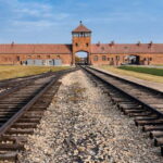 From Krakow: Auschwitz-Birkenau Memorial and Museum Tour - A Deep Dive into the Auschwitz-Birkenau Tour