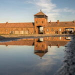 From Krakow: Auschwitz-Birkenau Tour with Transportation - Practical Considerations