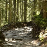 From Krakow: Zakopane and Tatra Mountains Full-Day Trip - Exploring the Itinerary in Detail