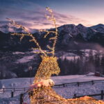 From Kraków: Zakopane and Thermal Baths with Personal driver - Final Thoughts: Is This Tour Right for You?