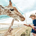 From Krakow: Zoo Trip with Private Luxury Transfer - Starting with Convenience: Hotel Pickup and Drop-off