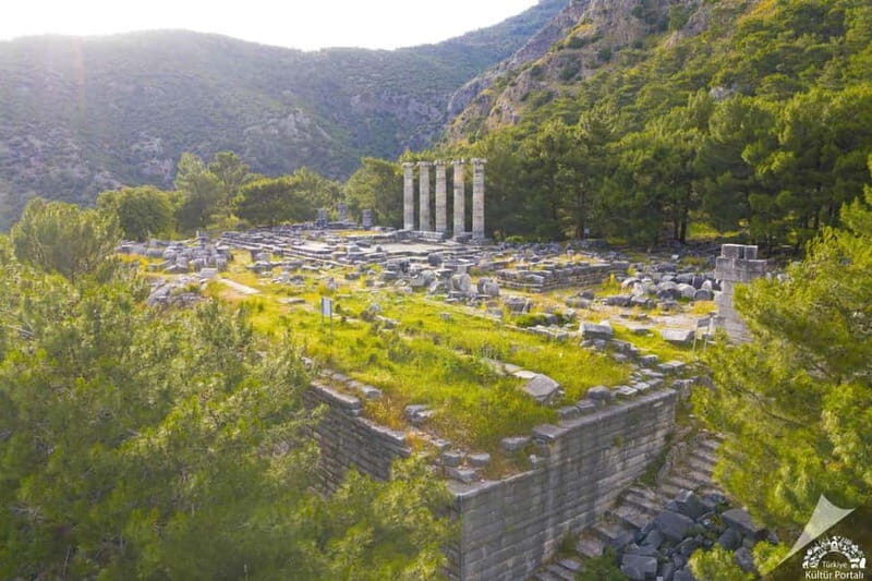From Kusadasi Port: Priene, Miletus, and Didyma Daily Tour - Who Should Consider This Tour?
