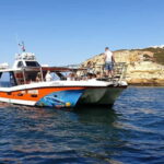 From Lagos: Dolphin Watching Catamaran Cruise - What to Expect During the Tour