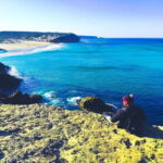 From Lagos: Half-Day West Coast Minivan Tour - The Small Group Advantage and Guide Expertise