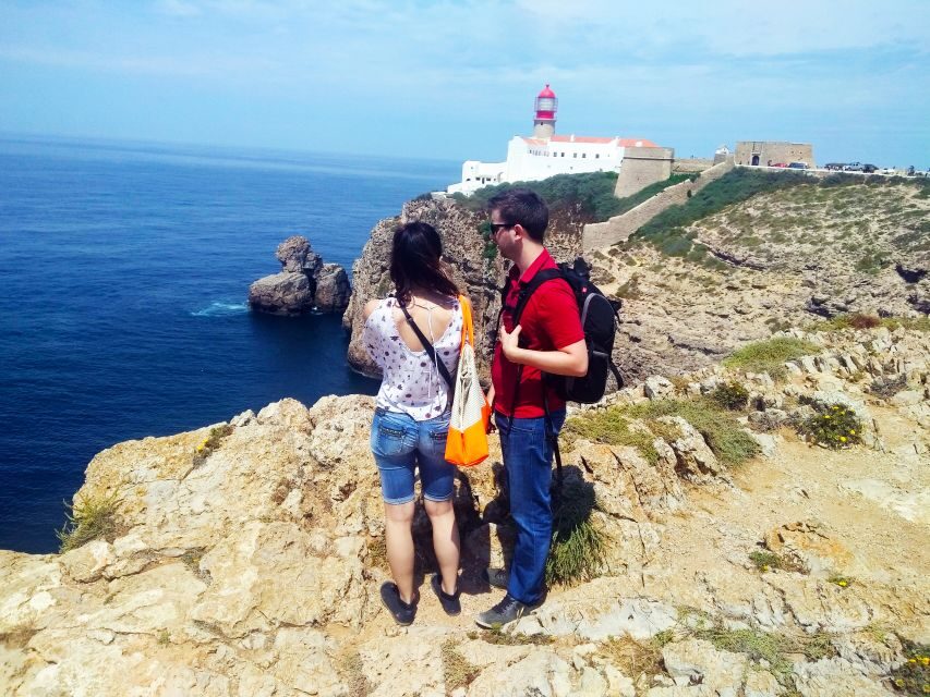 From Lagos: Wild and Wonderful West Coast Full-Day Tour - An In-Depth Look at the Itinerary