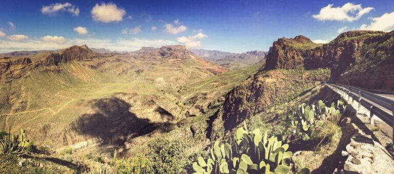 From Las Palmas: Fataga, Aloe Vera Farm, and Puerto de Mogán Market - Discovering the Authentic Charms of Southern Gran Canaria