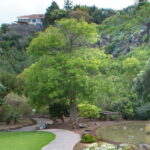 From Las Palmas: Half day tour Volcano Bandama & Vineyard - In-Depth Review of the Tour Experience