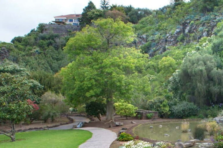 From Las Palmas: Half day tour Volcano Bandama & Vineyard - In-Depth Review of the Tour Experience