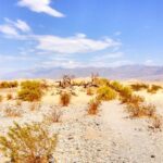 From Las Vegas: Ghost Town Wild West Adventures Day Trip - Transportation and Group Size: Comfort in Small Numbers