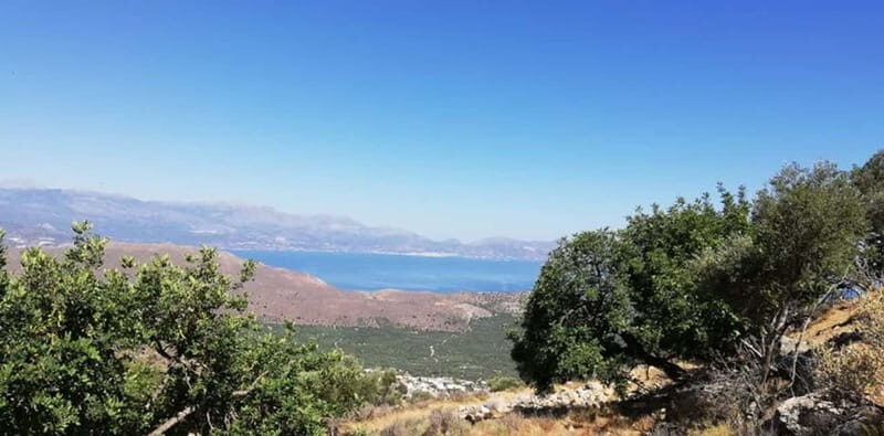 From Lasithi: Richtis Gorge - Practicalities and Tips for Travelers