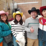 From Leon: Leather, Footwear, and Hat Factories Tour - Behind the Scenes of Footwear Production