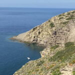 From Lipari: Boat Tour to Salina with Stops - Pricing and Value Analysis