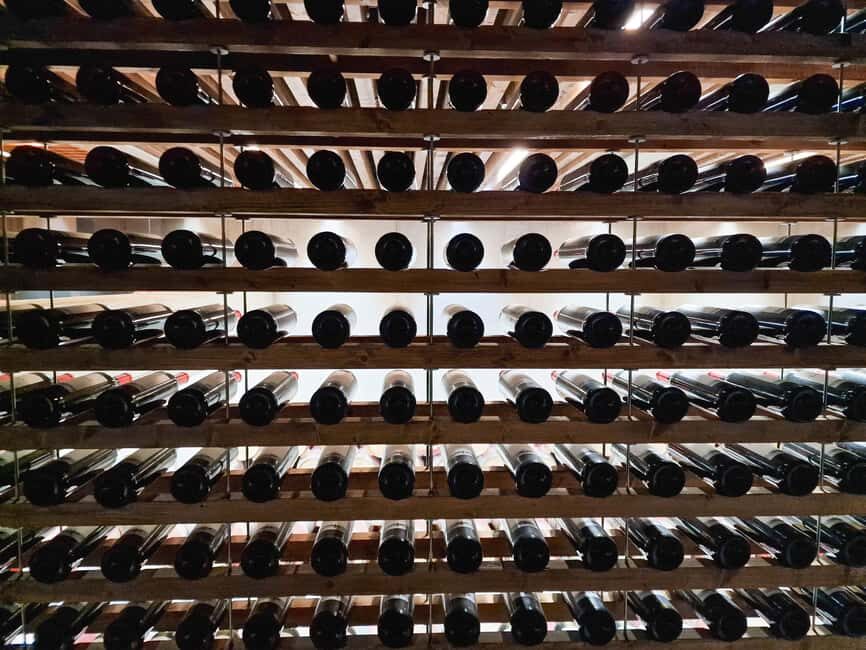 from Lisbon: 2-days private tour to Porto and Douro Valley - How the Tour Works in Practice