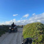 From Lisbon: Atlantic Coast Guided Quad Bike Tour - Why this quad bike tour is worth considering