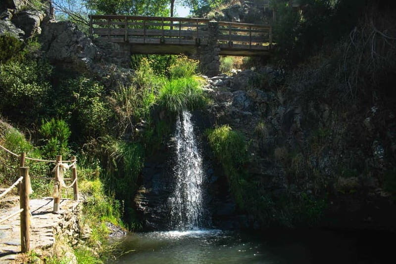 From Lisbon: Discover the Heart of Portugal Tour - A Walk Through the Day: What to Expect