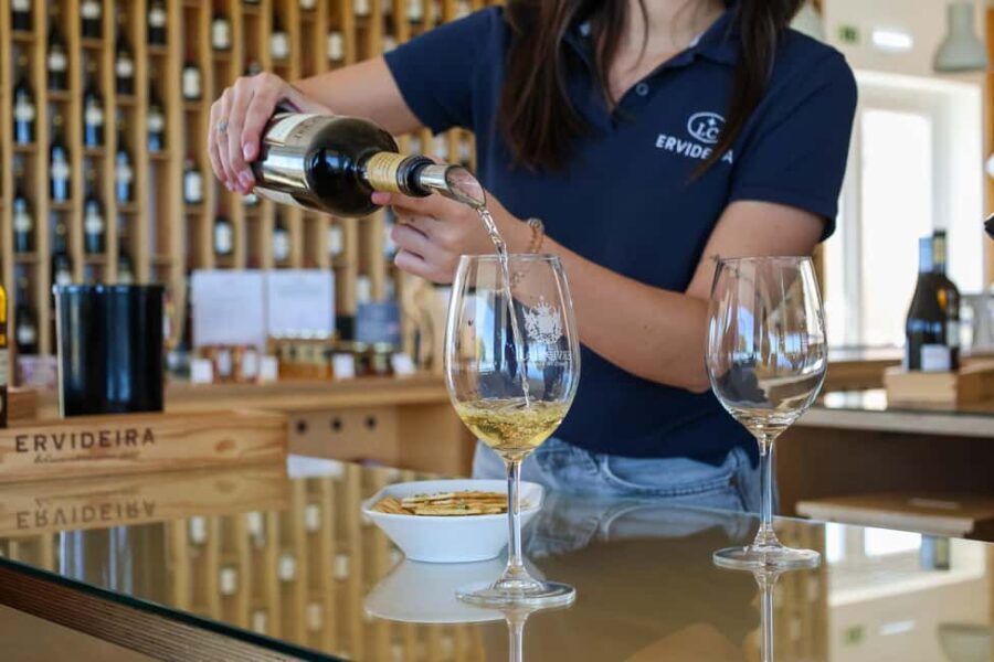 From Lisbon: Évora, Chapel of Bones & Alentejo Wine Tour - Practical Details and What to Expect