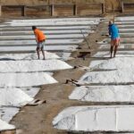 From Lisbon: Lagos Day Trip with Silves Stop - What Makes This Tour Stand Out?