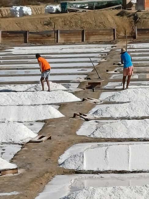 From Lisbon: Lagos Day Trip with Silves Stop - What Makes This Tour Stand Out?