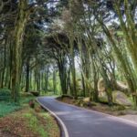 From Lisbon: Pena, Regaleira, Peninha, Adraga & Coastline - The Value in the Details