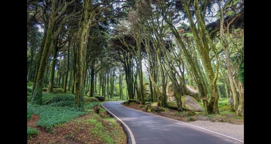 From Lisbon: Pena, Regaleira, Peninha, Adraga & Coastline - The Value in the Details