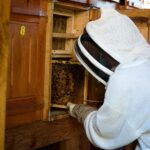 From Ljubljana: All About Bees - Creative Crafting: Painting the ‘Panjska Konnica’